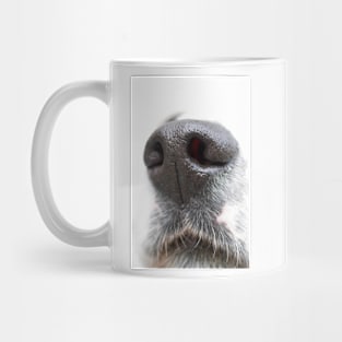 A Dog&#39;s Nose Always Knows Mug